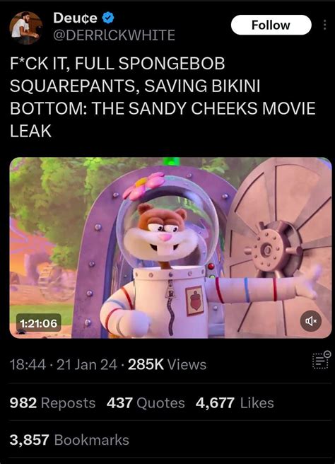 sandy-d leaked|My two cents on the Sandy Cheeks Movie leak : r/spongebob